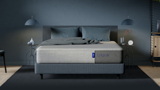 Illustration for article titled The Best Mattresses, According to Our Readers